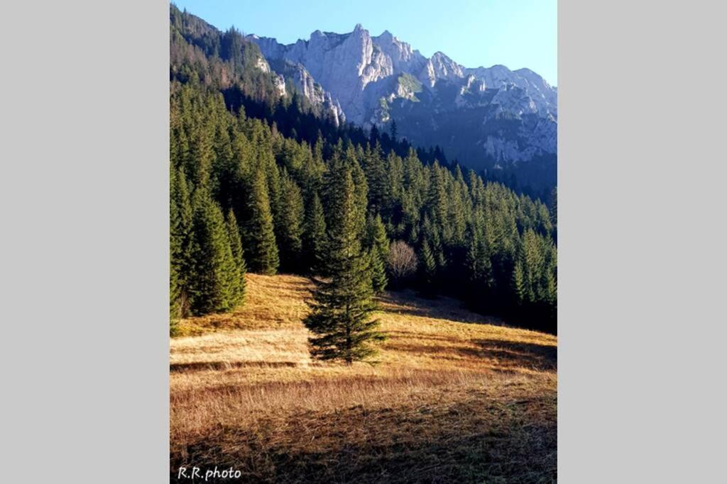 Domek Goralski Parzenica Kościelisko Kültér fotó